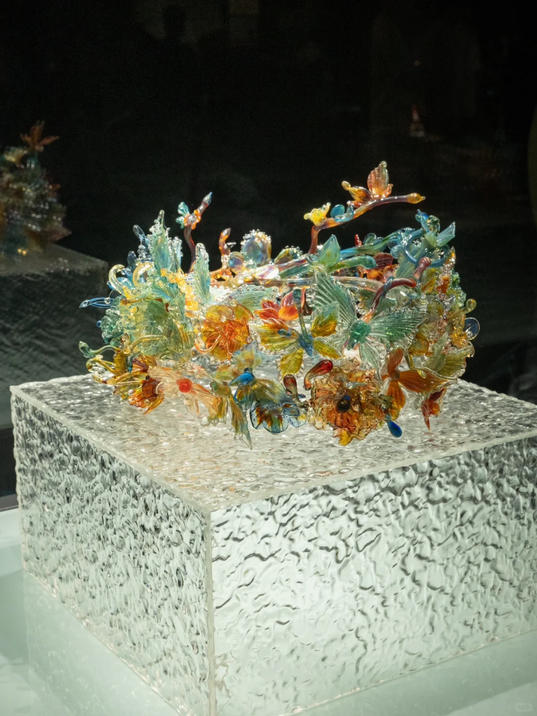 为了看这永不凋零的浪漫，特意来了趟淄博！