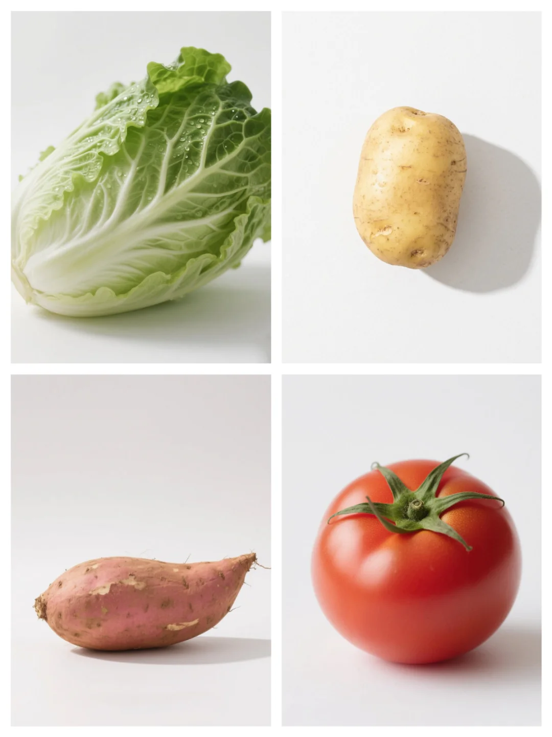 基础认知丨蔬菜?打印