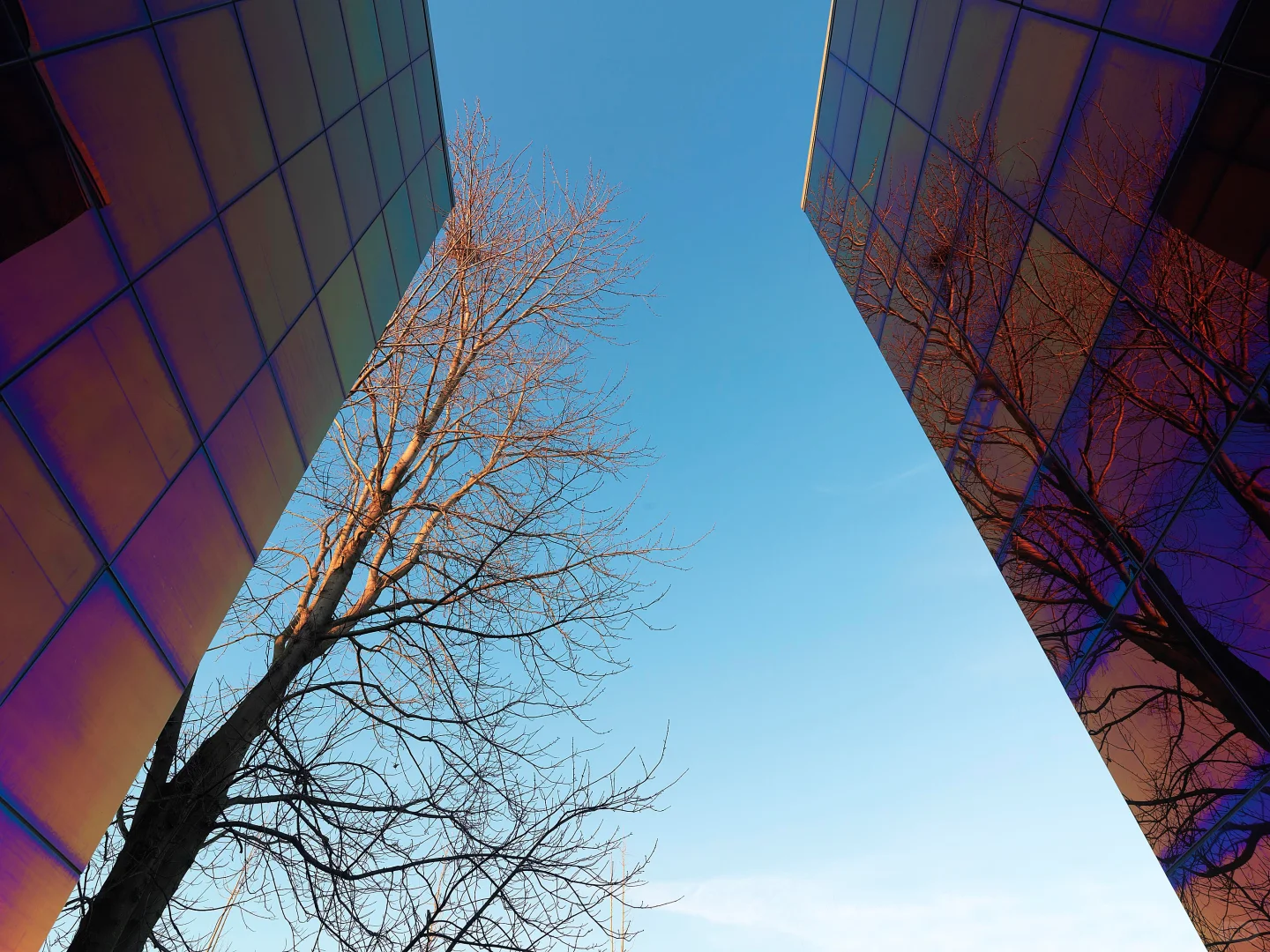 Valcucine总部照片分享