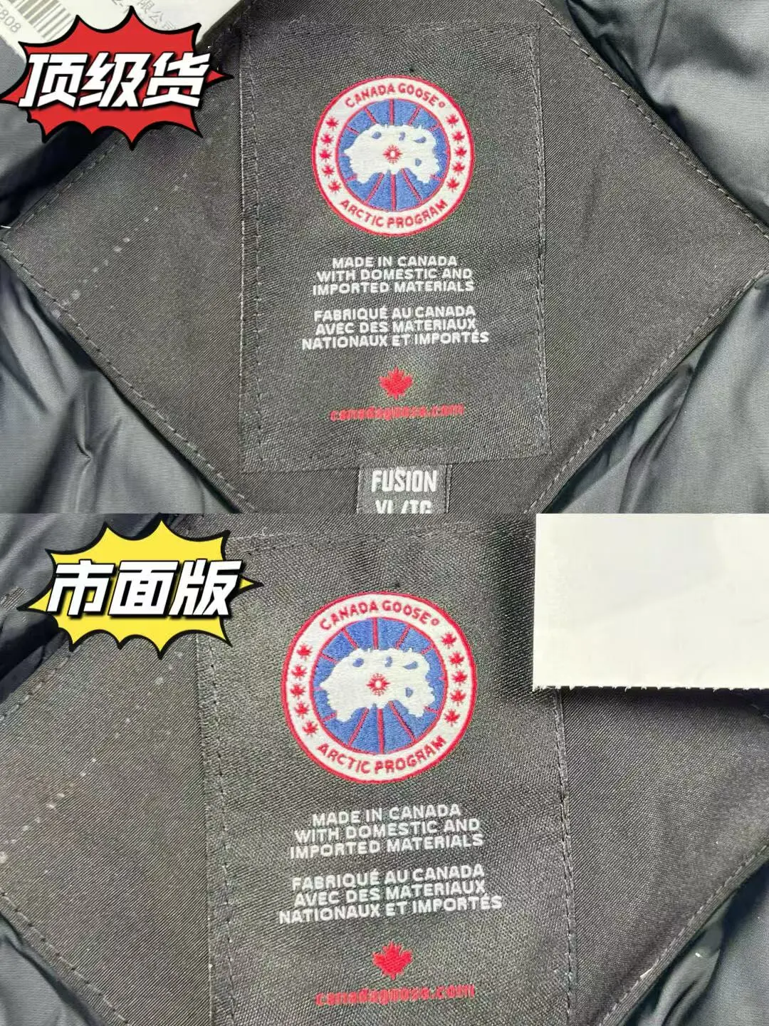 鉴别加拿大鹅学会这几个关键细节就够啦❗️❗️