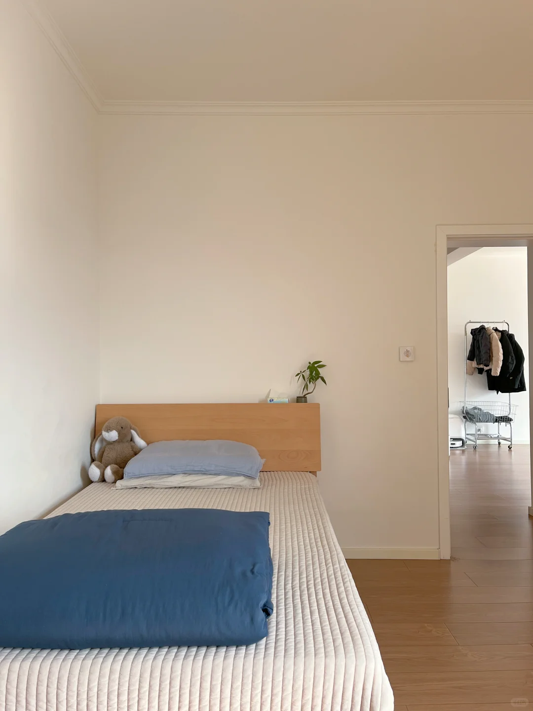 家净则心安|少物则心静