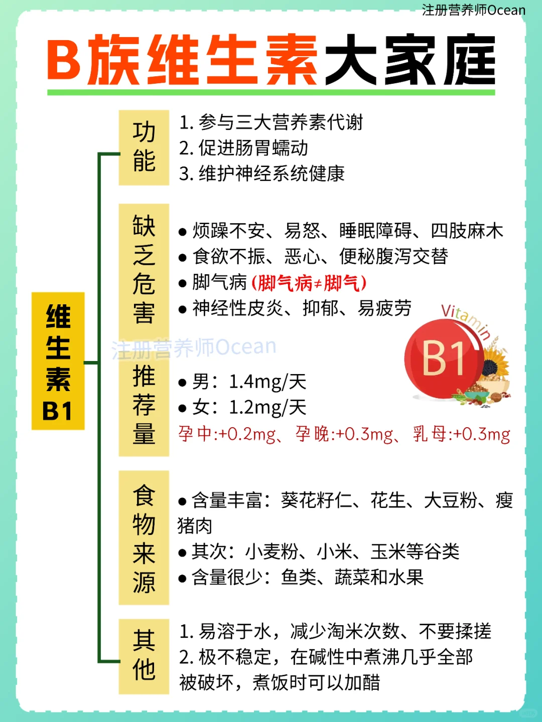 一篇全了解丨强大的B族维生素