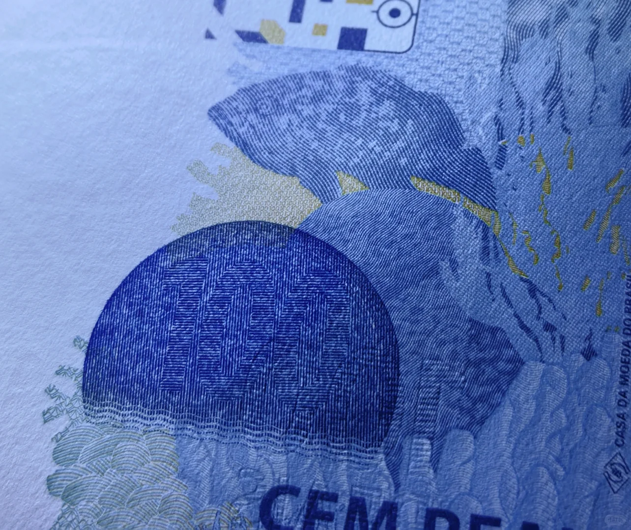 每日一钞:巴西100雷亚尔纸币