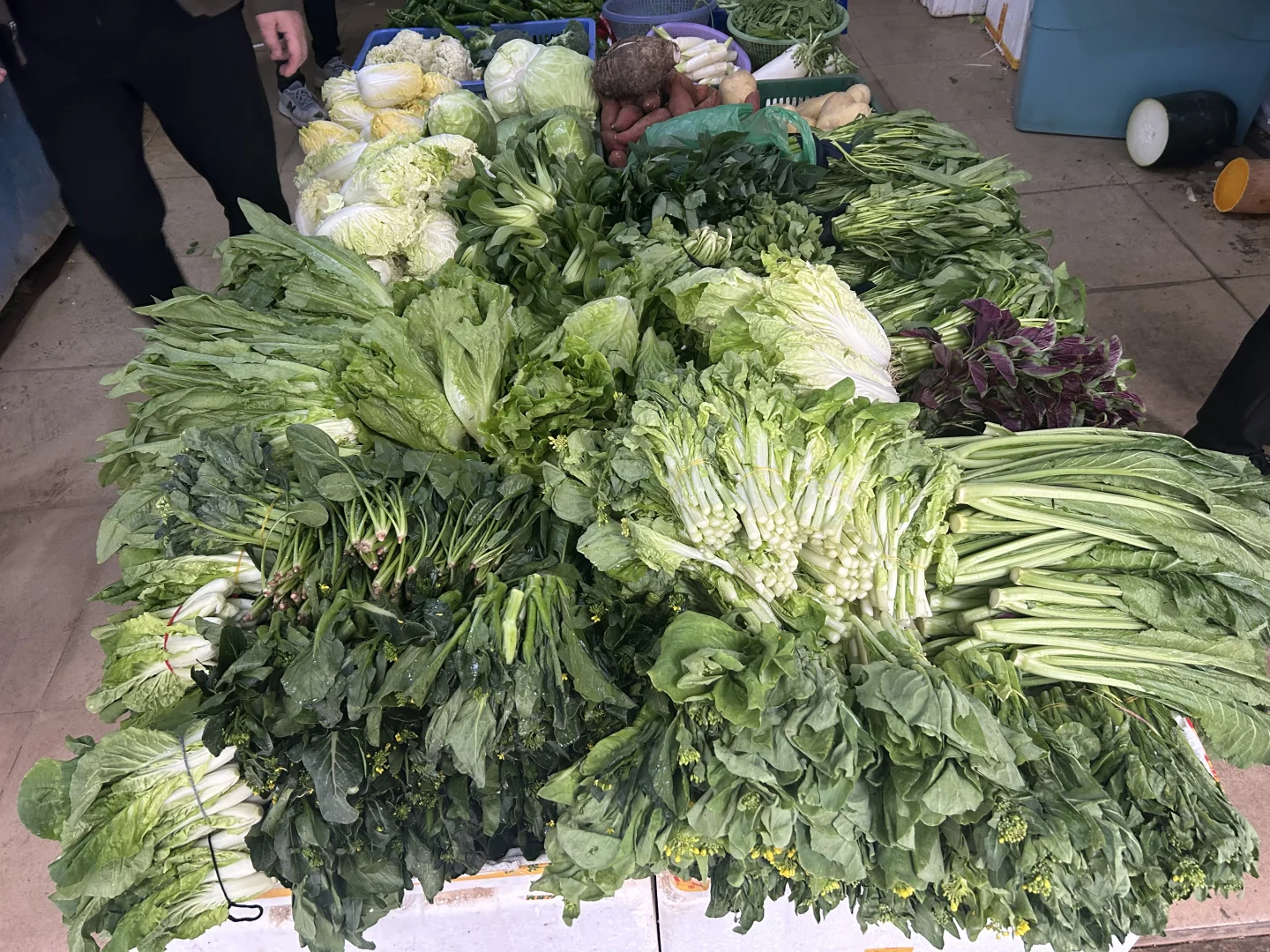 看到好看的蔬菜真的想尖叫！