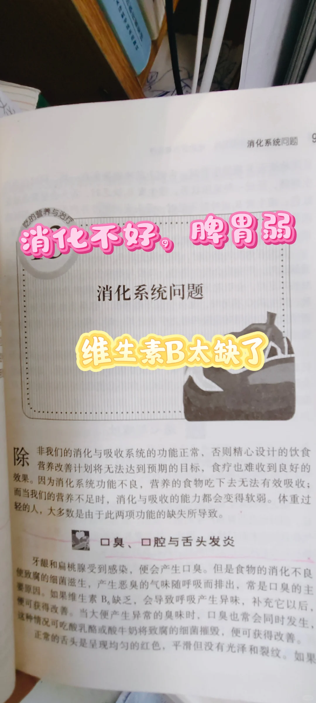 用好B族维生素,消化问题好大半,亲测有效