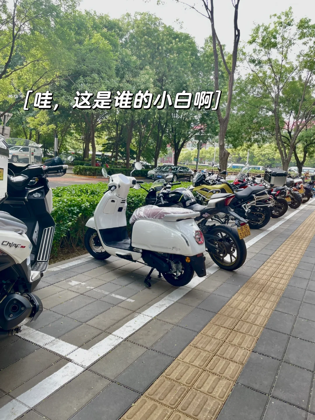 我的本田NFW125新体验