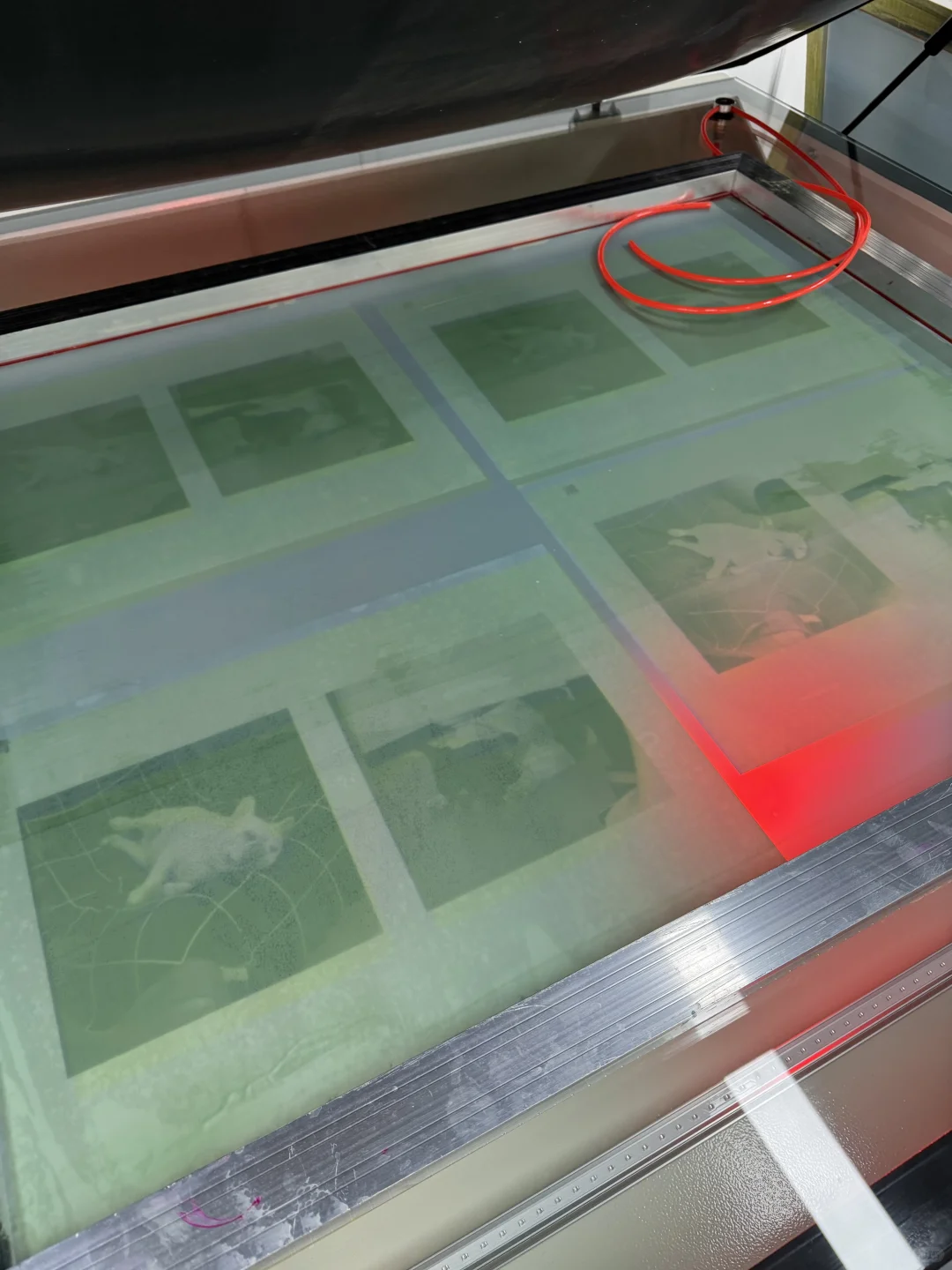 这照片的质感是自己能印出来的?！？