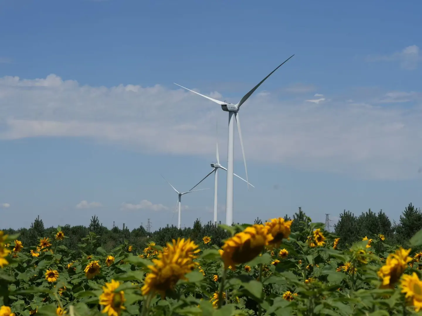 草原大风车造价,一圈发电量知多少?