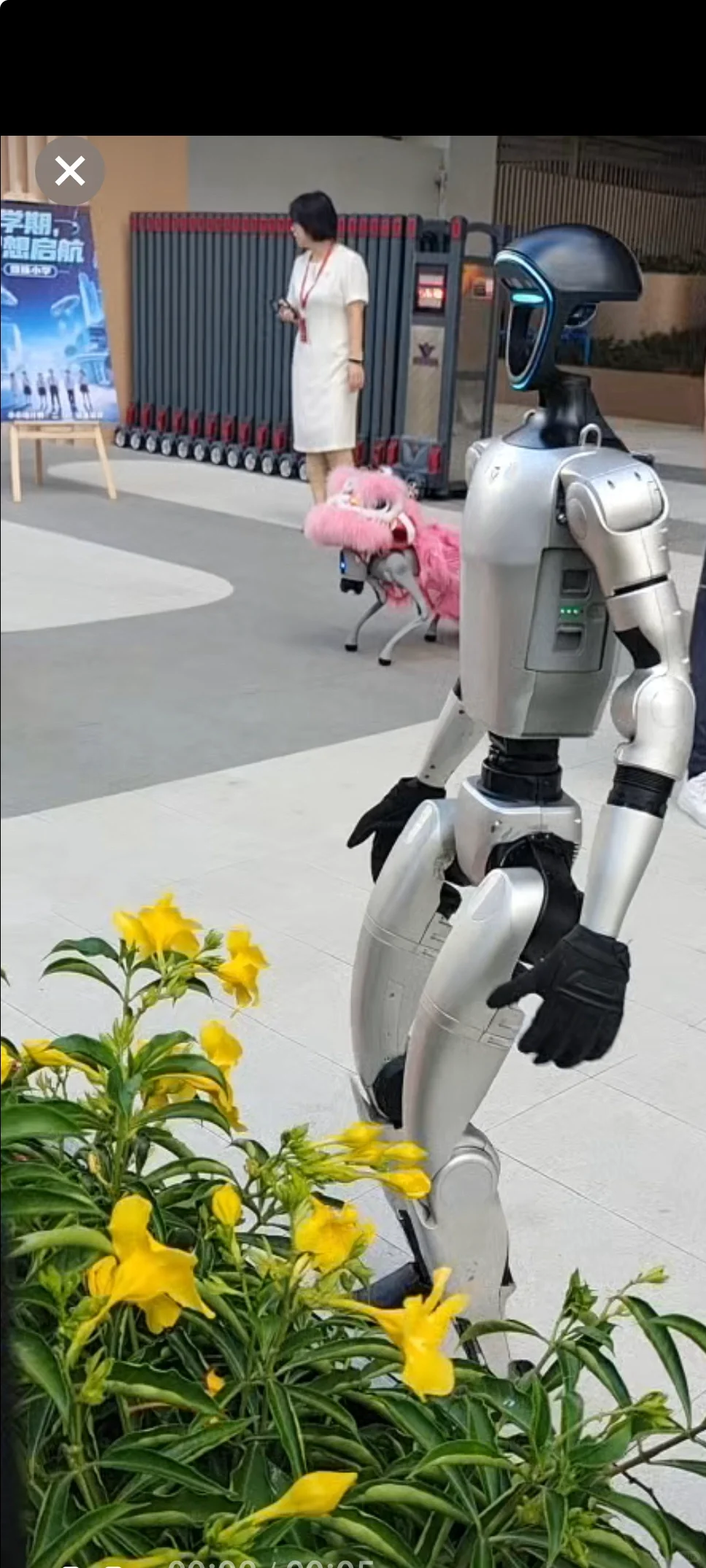 开学啦，AI欢迎?新生