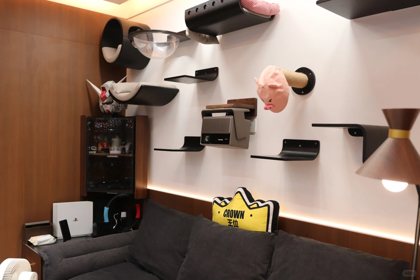 入坑14年价值25w的模型展示柜