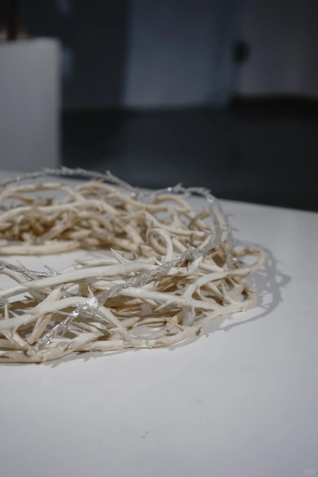 用陶瓷、玻璃做创作的2024年