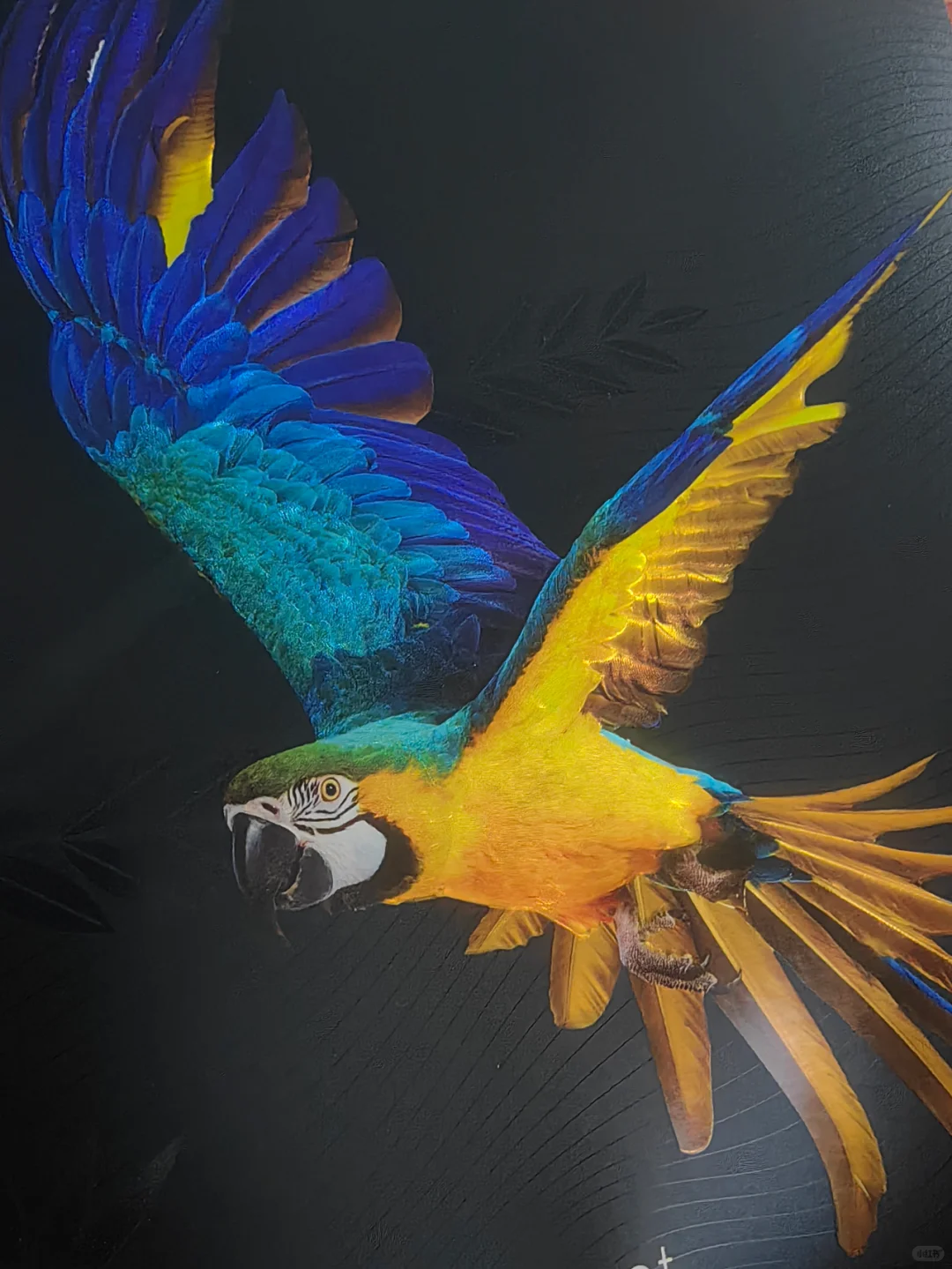 光刻铂金让细节更生动