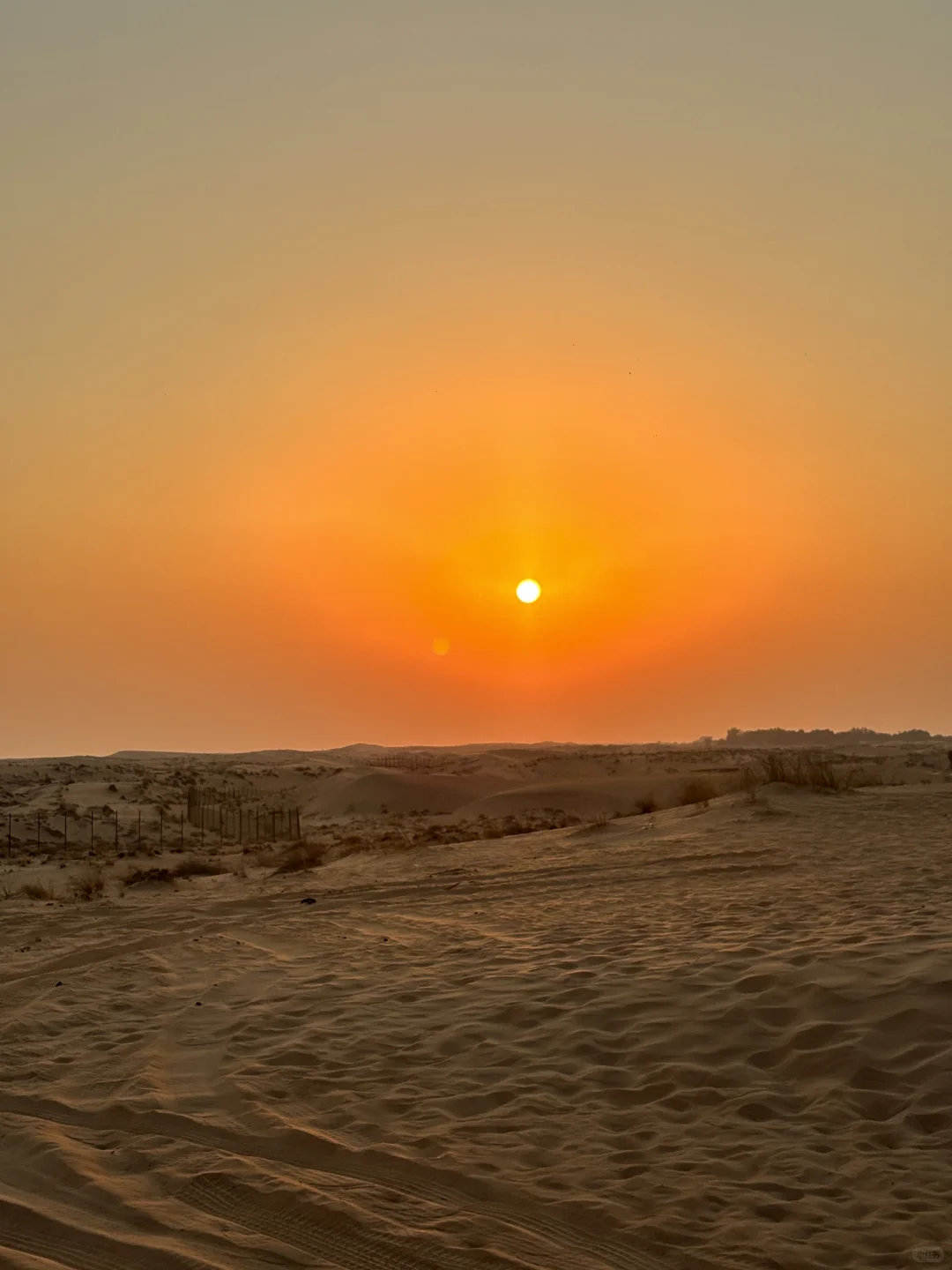 短剧《我在中东当王子》?️