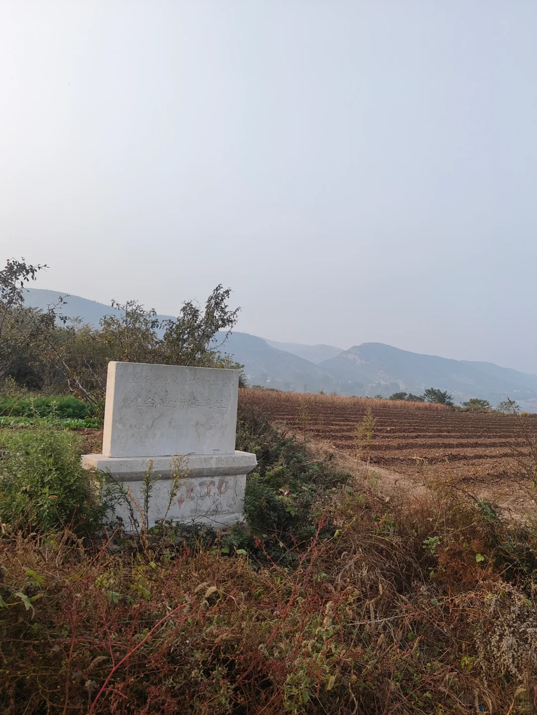 ＂南有景德 北有彭城＂磁州窑-黑白极简之美