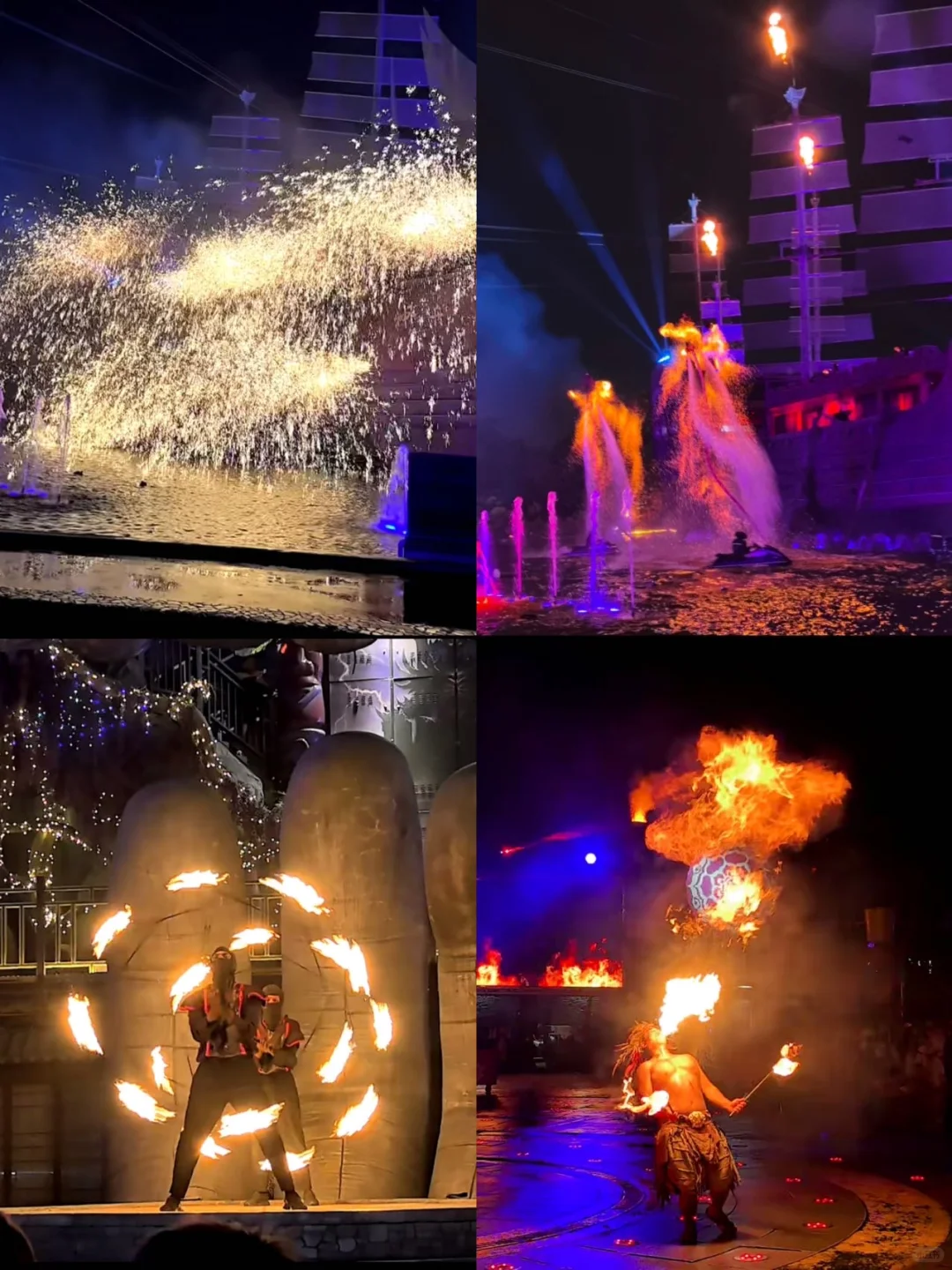 开封菊展｜白天黑夜拍照都封神?