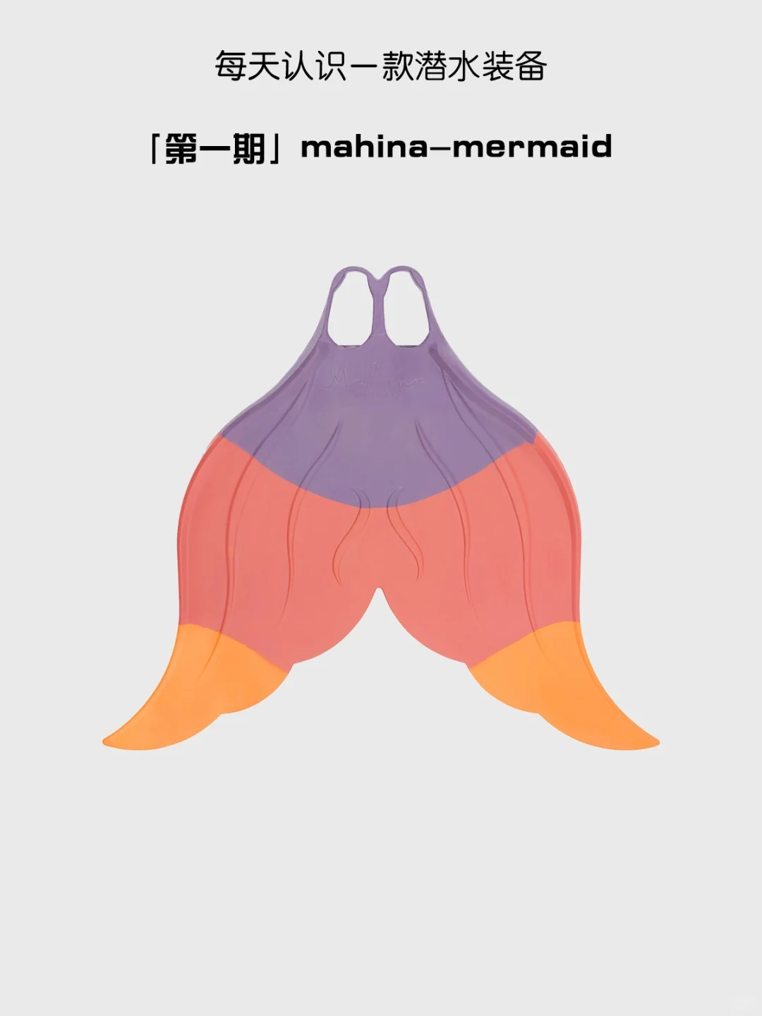 小美人鱼的秘密装备 ?‍♀️