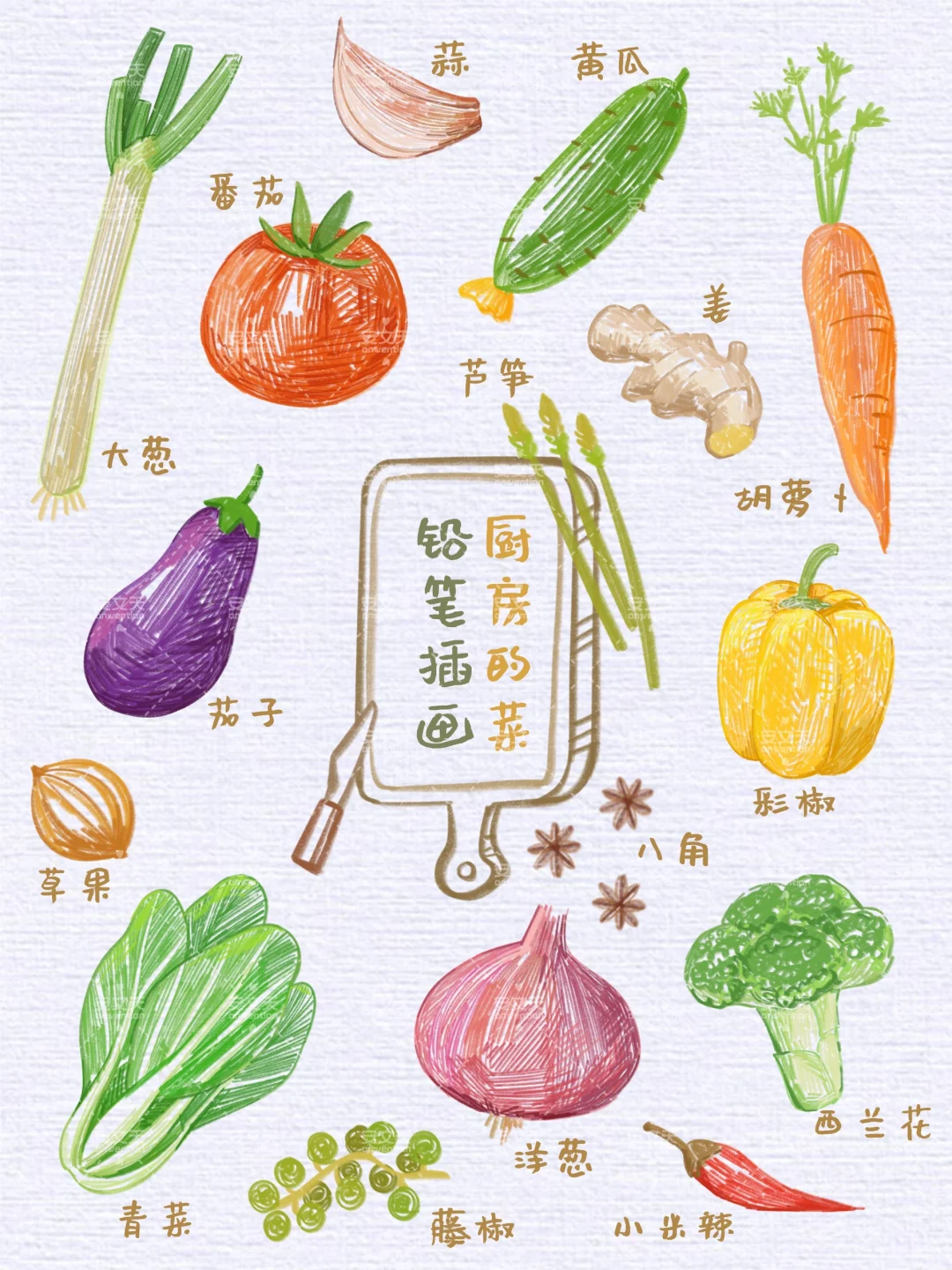 【厨房的菜】厨房食材蔬菜调味料铅笔插画