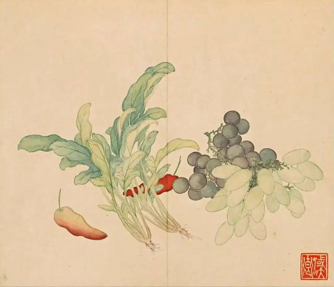 清｜汪承霈｜果蔬杂卉册