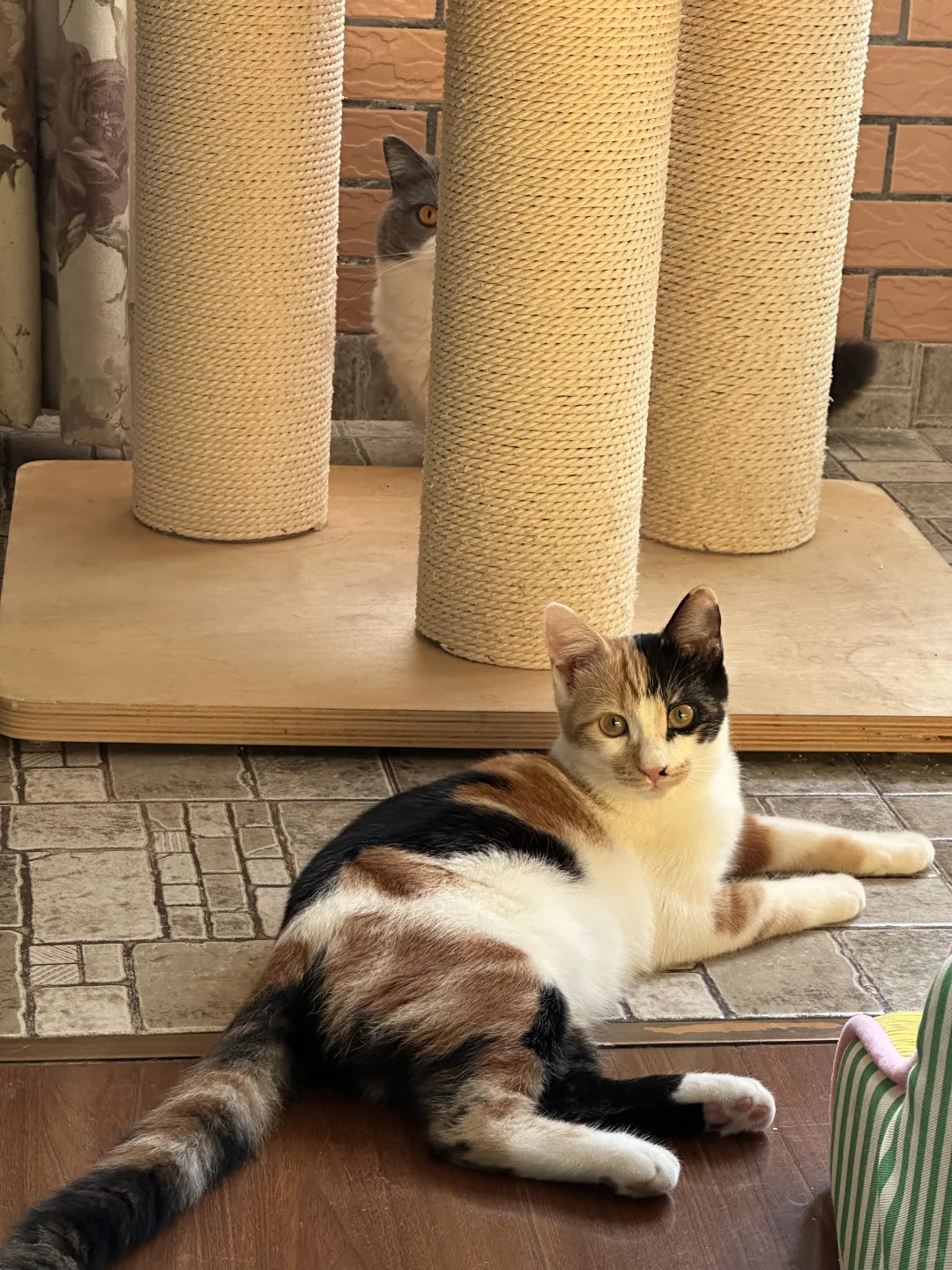 景德镇39h特种兵之旅