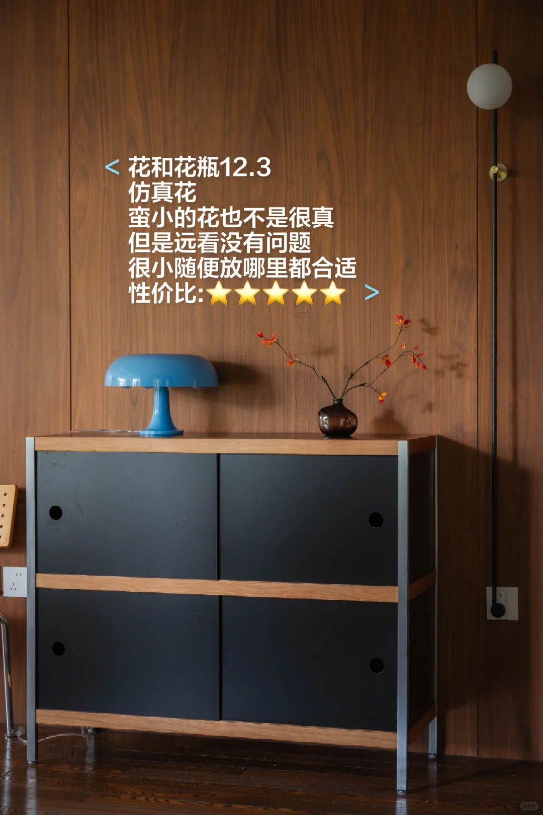 我可能是全网最会买装饰品，同时最扣的博主