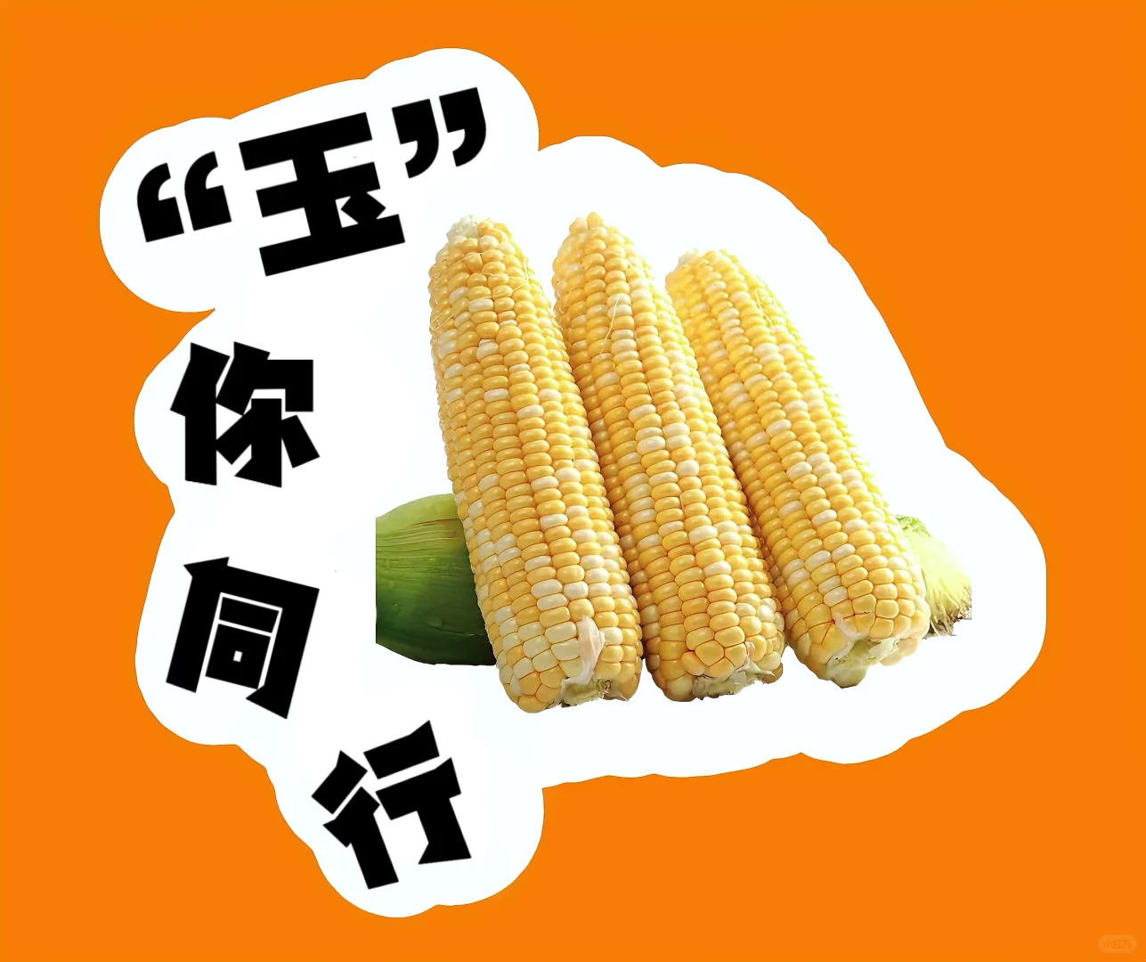 蔬菜谐音成语！超有趣~?