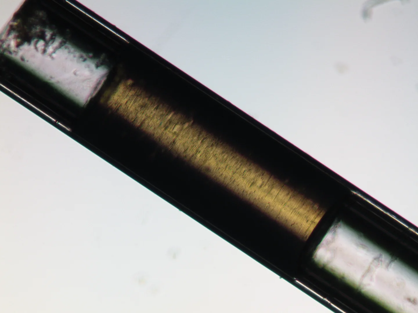 甲壳素纳米晶的功能