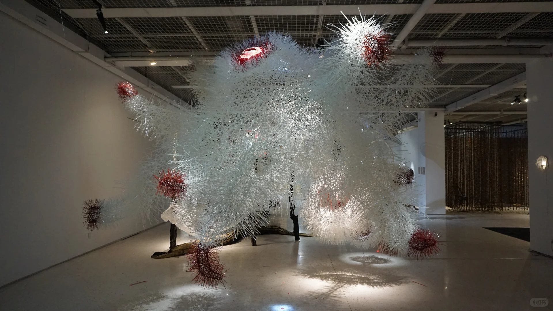 小红书线上毕业展 | 返照