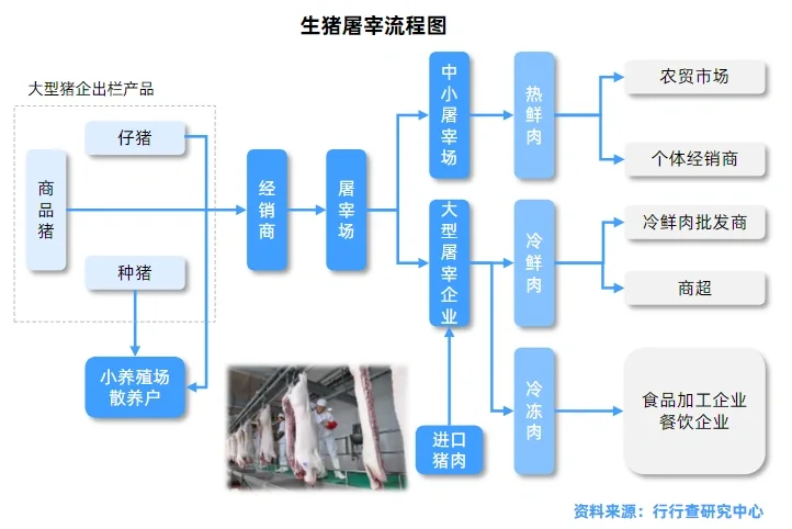 肉制品行业报告