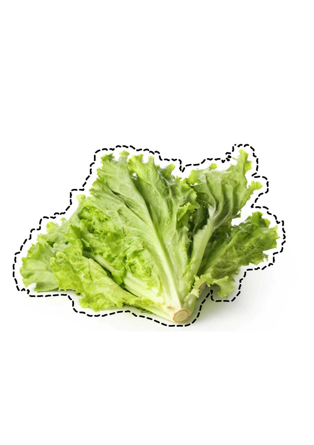 蔬菜剪纸素材｜?打印