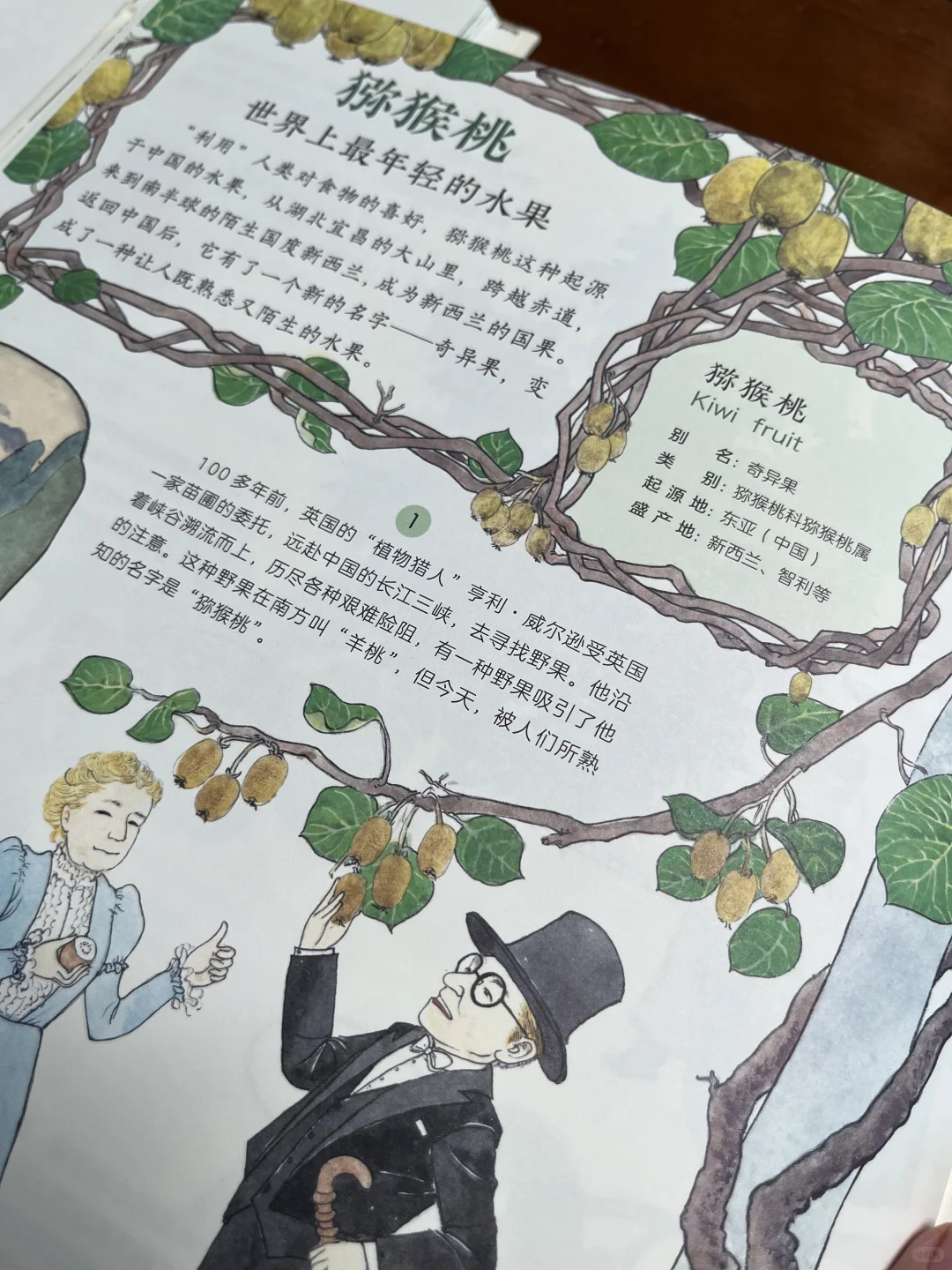 非常棒的一本作物科普书,中餐的秘密在这里