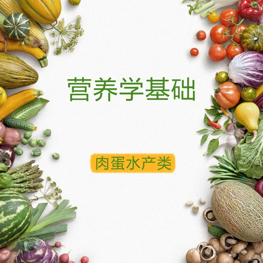 每天学点营养学—肉蛋水产类