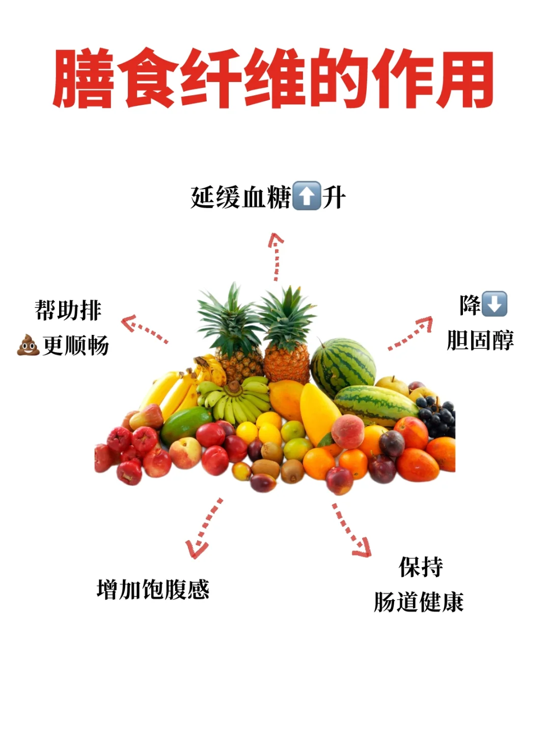 每月健康冷知识 | 膳食纤维是什么??