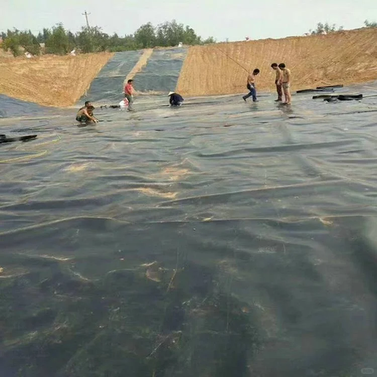 高密度聚乙烯土工膜防水土工膜双道热熔焊