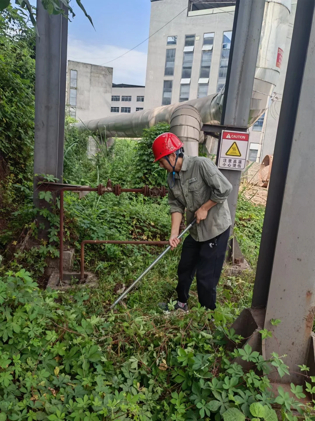清除疏水器处杂草