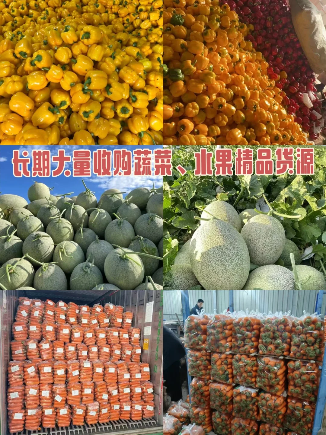 长期大量收购蔬菜、水果精品货源