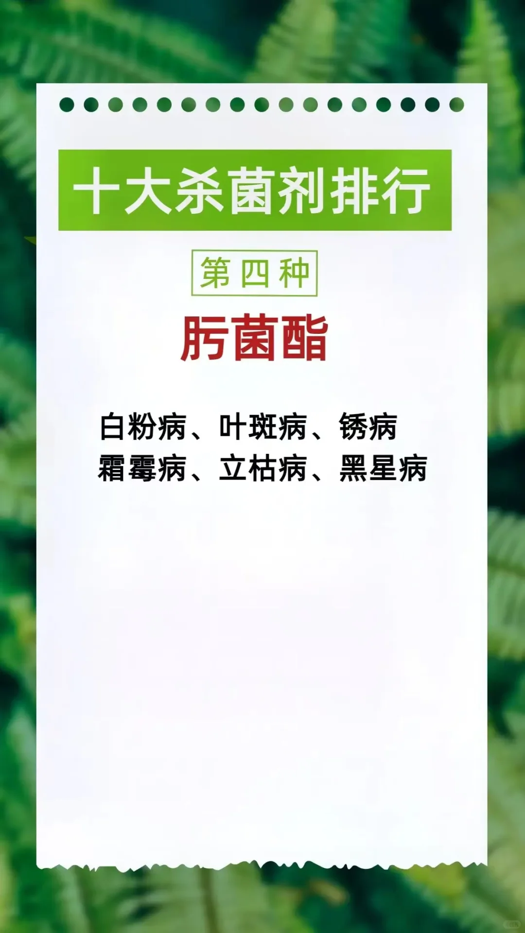 农作物植保中十大杀菌剂排行