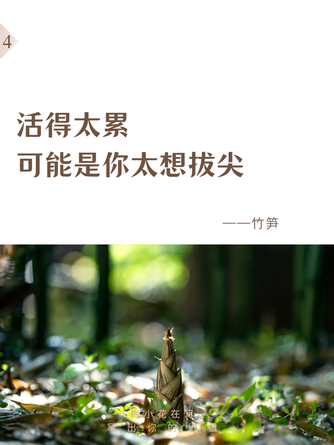 超市蔬菜文案，试试写出大润发版烟火气‼️