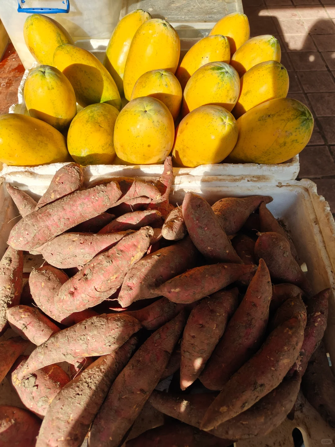 百色龙景菜市场越看越治愈的菜，忍不住拍拍