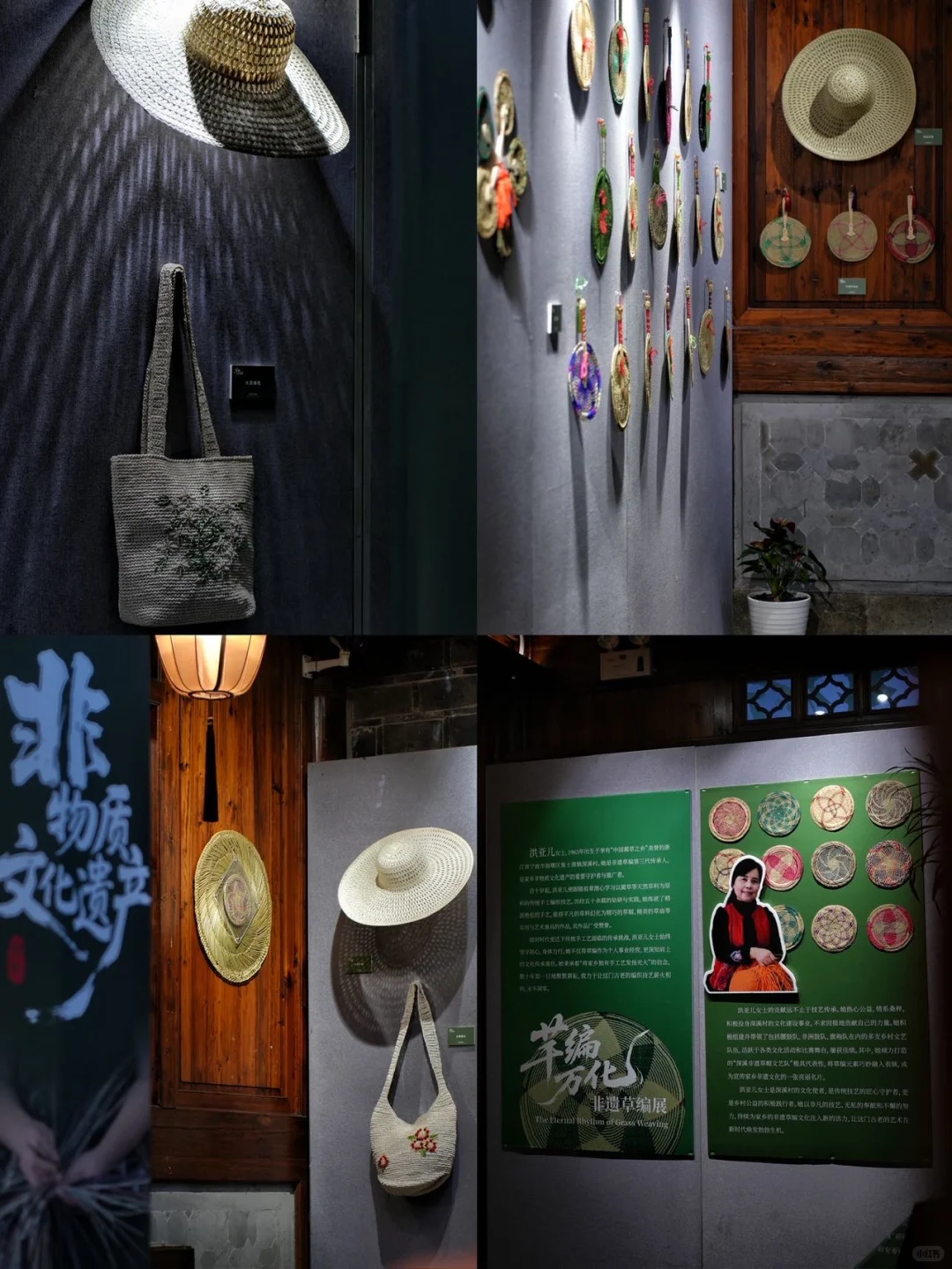 宁波新展｜芊编万化，一棵草的浪漫