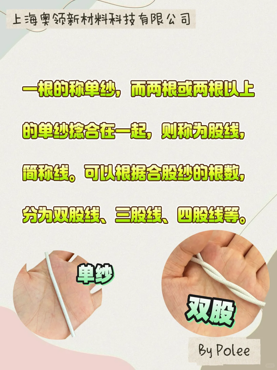 单纯和股数怎么区分❓