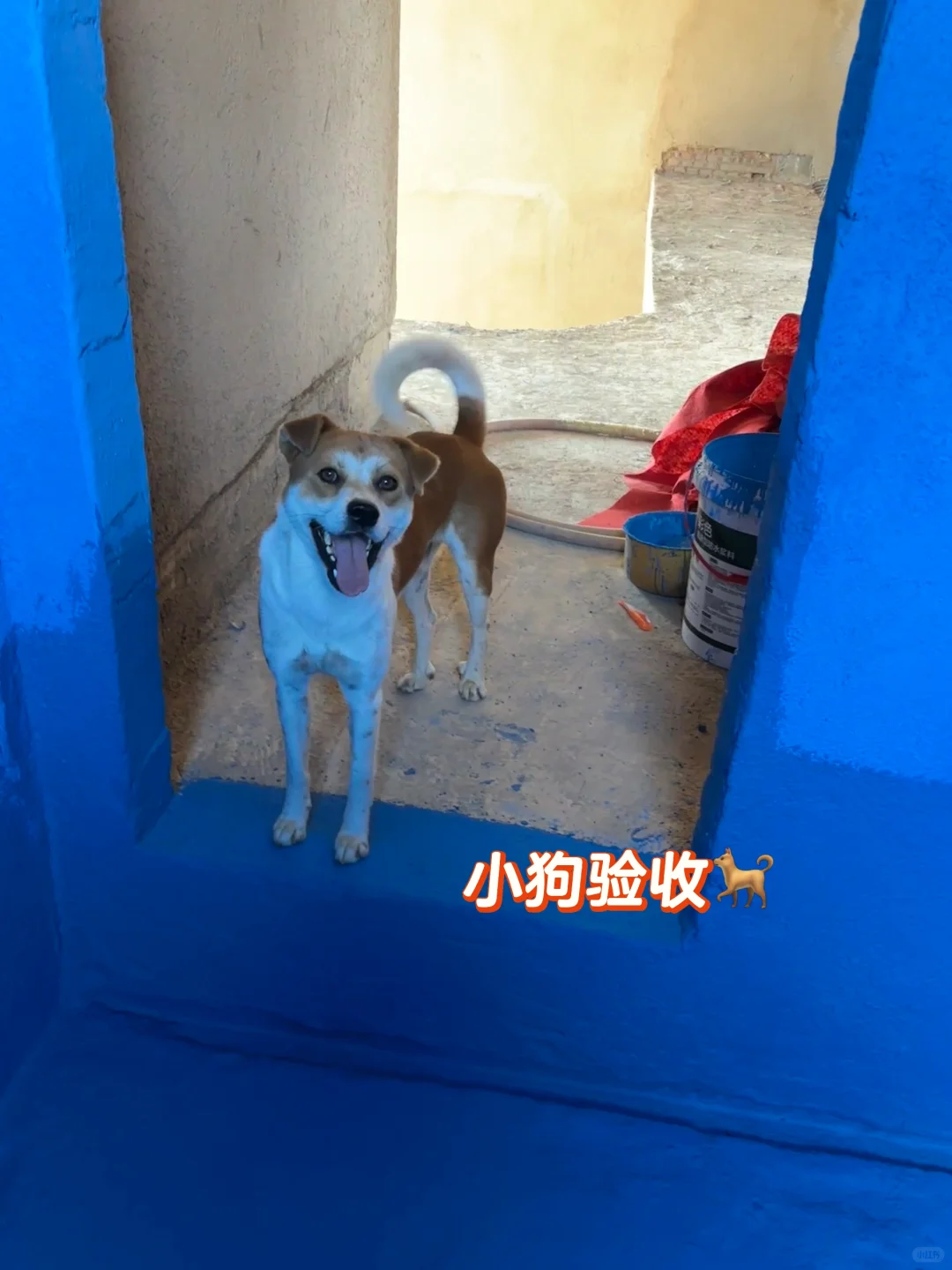 快来看看我自己刷的防水怎么样