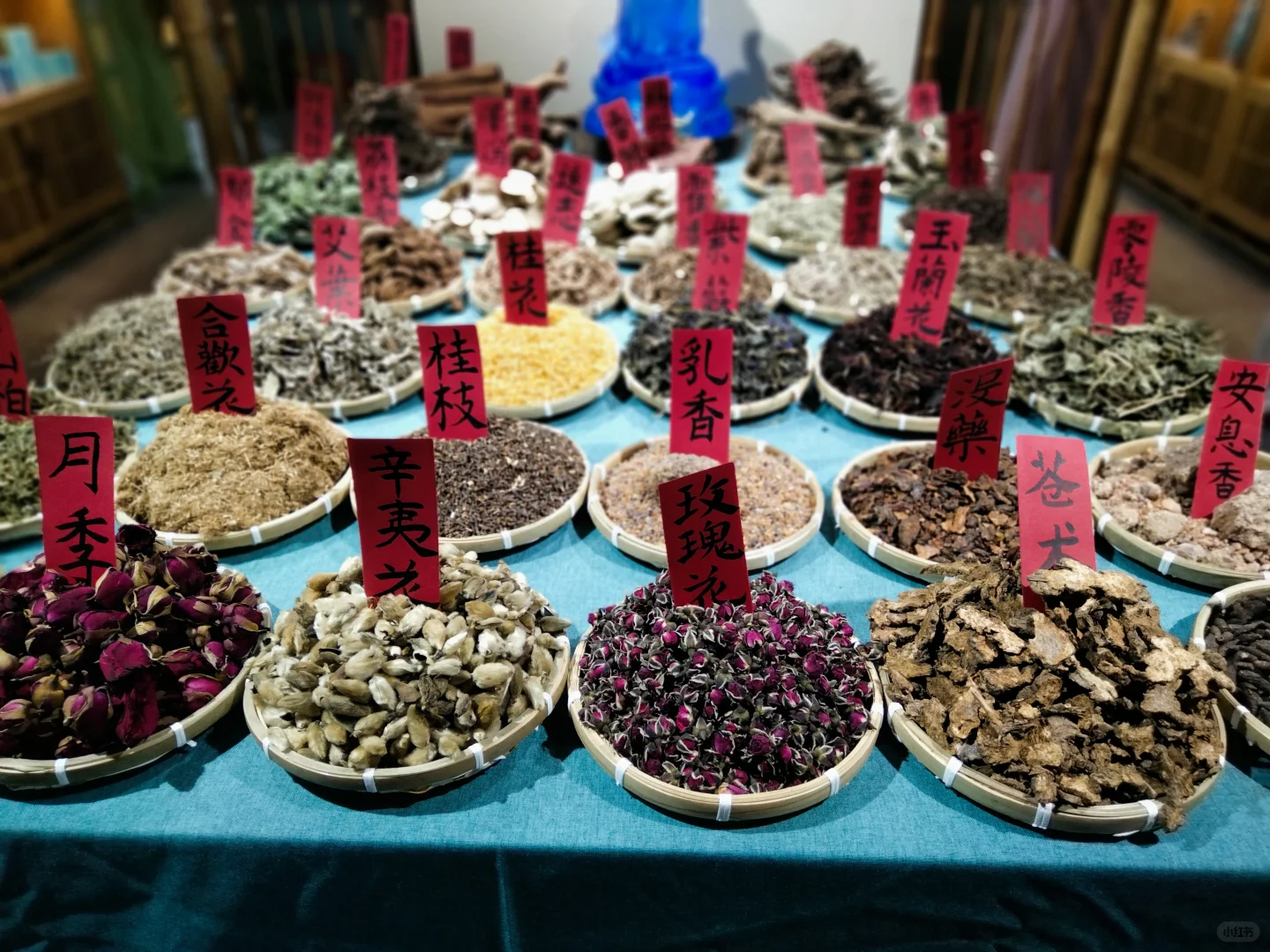 初次游逛博览会