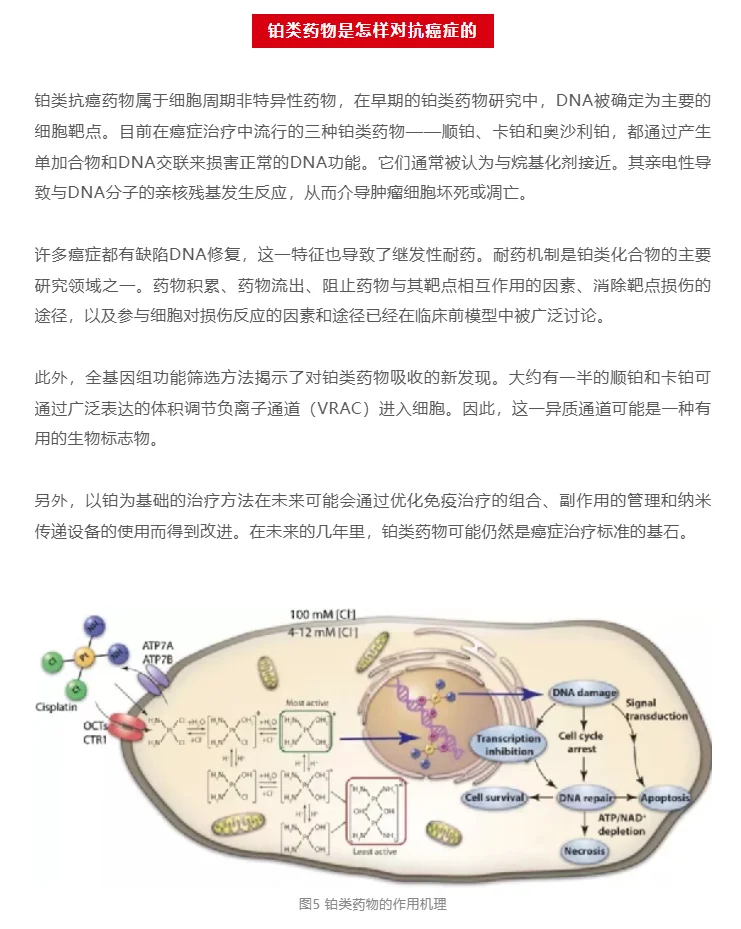 临床常用的铂类药物,你真的了解吗?