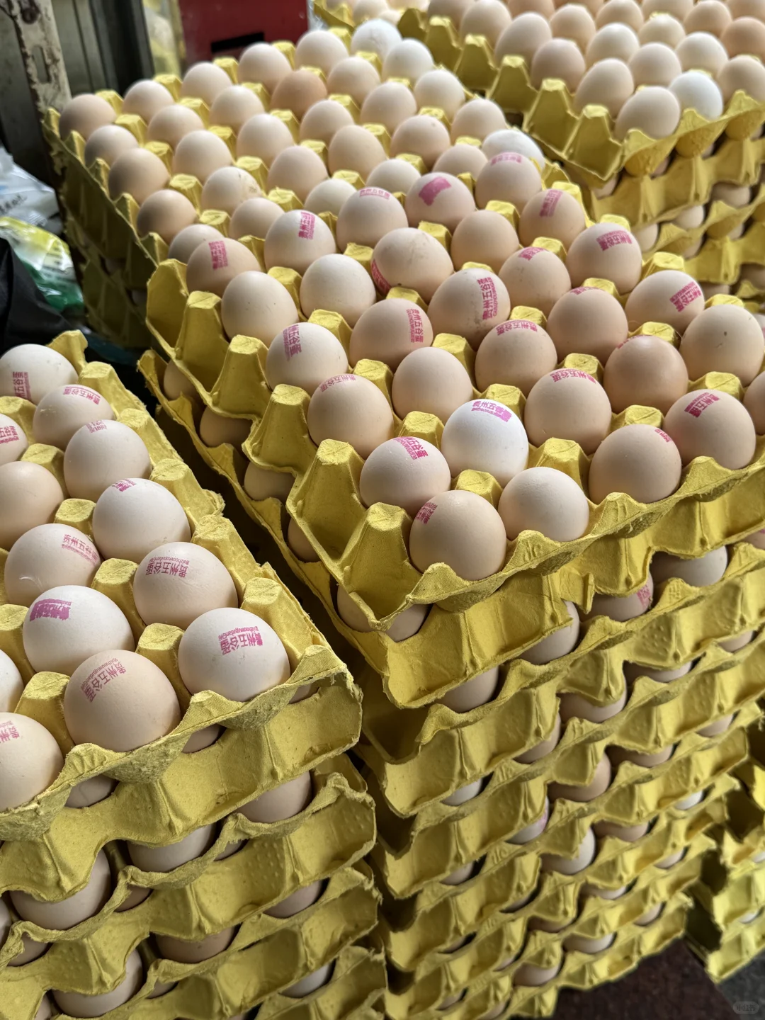 95后裸辞开粮油干调店日常