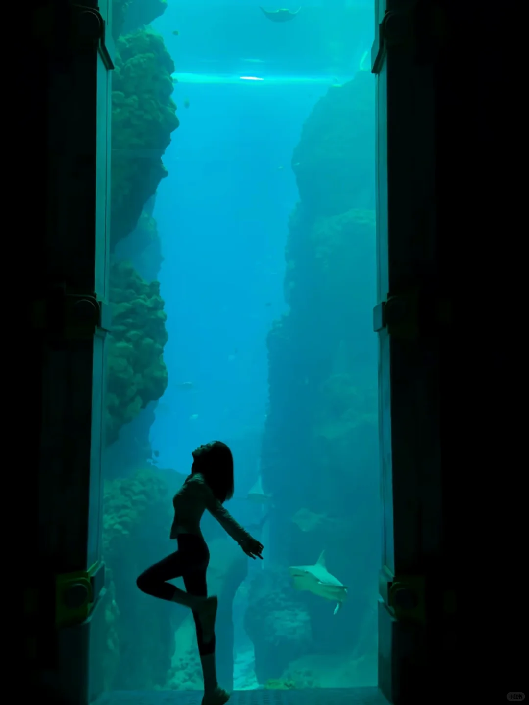 人生建议：一定要来阿布扎比来看卢浮宫！！！