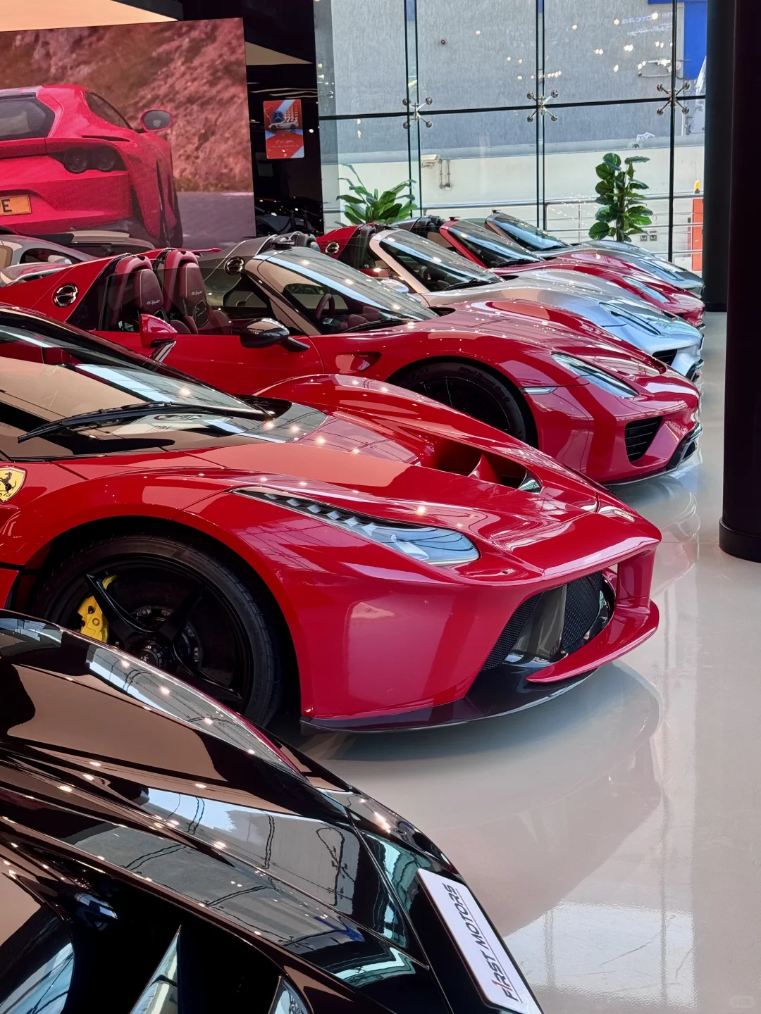 和马王近距离贴贴??