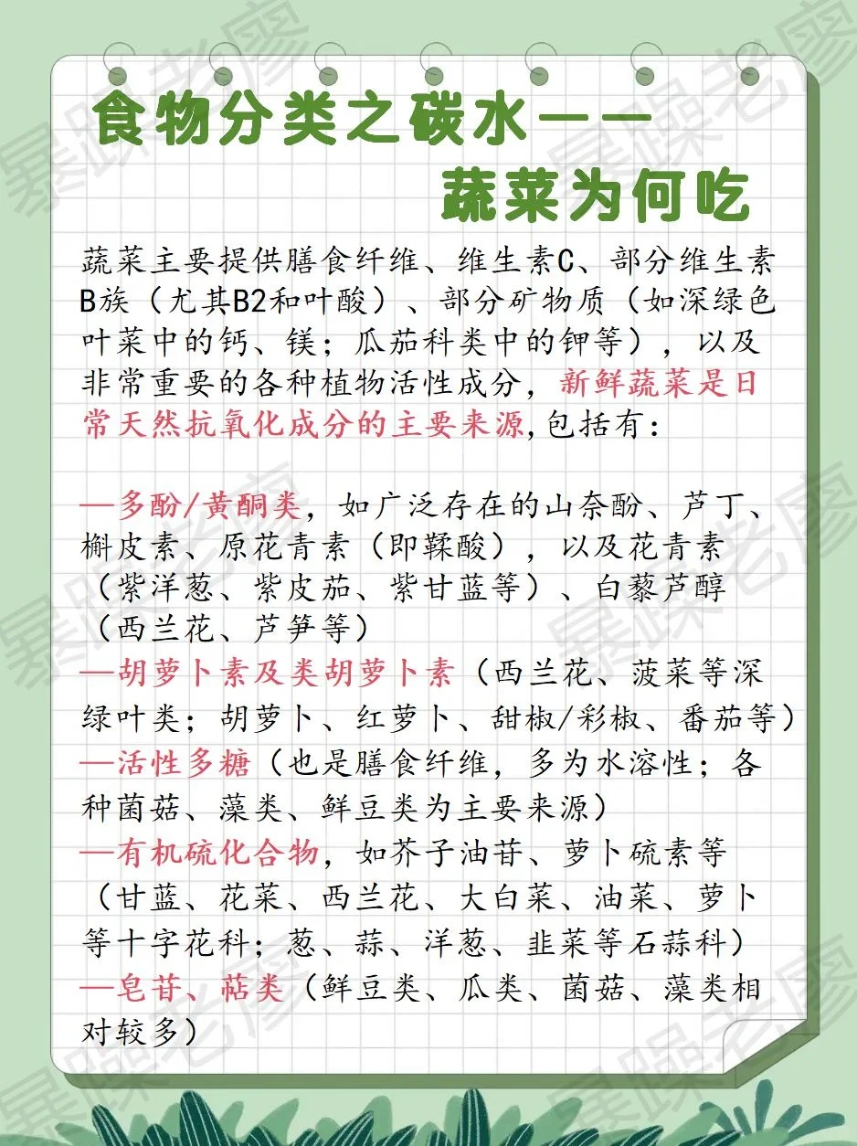 食物分类2-蔬菜（附日常安排要点）