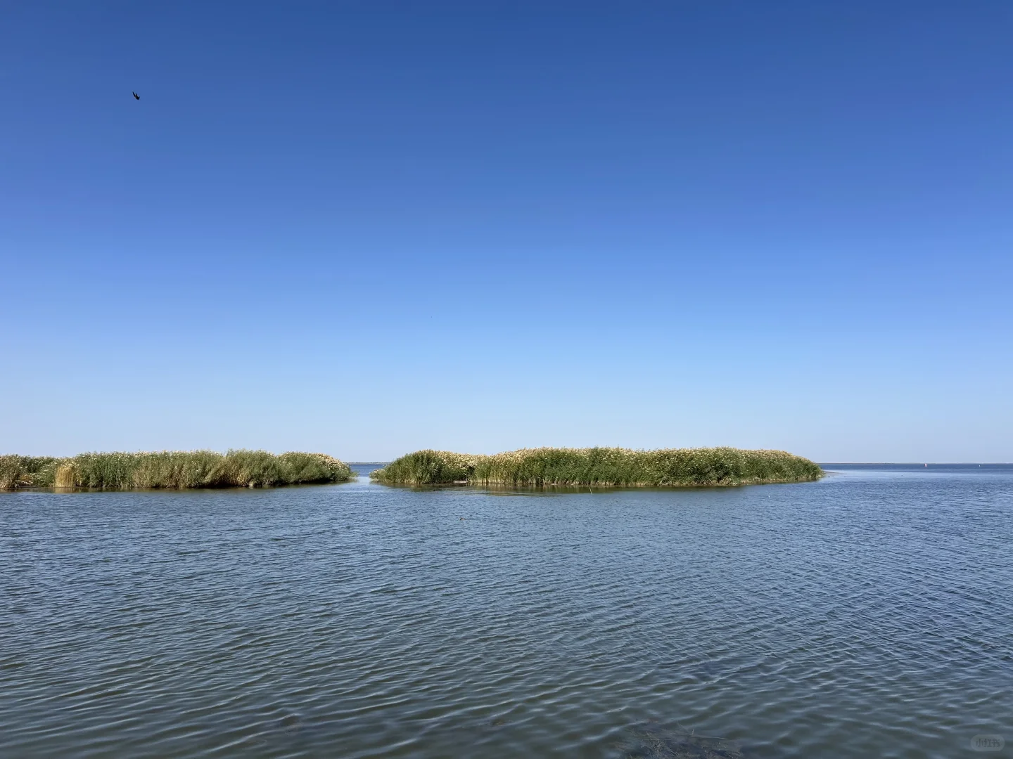 乌梁素海(内蒙·巴彦淖尔·乌拉特前旗)