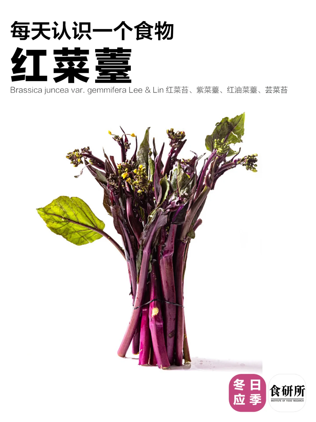 ?霜打菜是蔬菜界的雪糕？甜到报警隐藏吃法