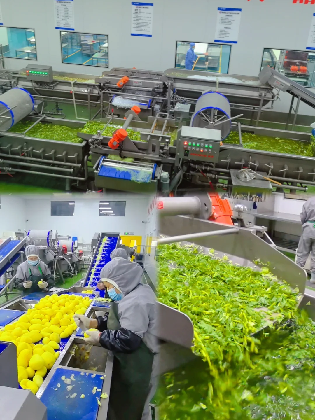 ?揭秘日供1万+团餐背后的神秘央厨!